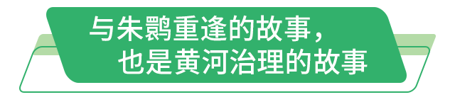 听！保护与发展的潮声在黄河入海口共鸣